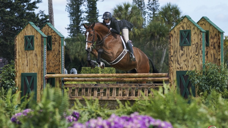 Morrissey, Propp, and Calicchio Share the Spotlight in $10,000 USHJA National Hunter Derby