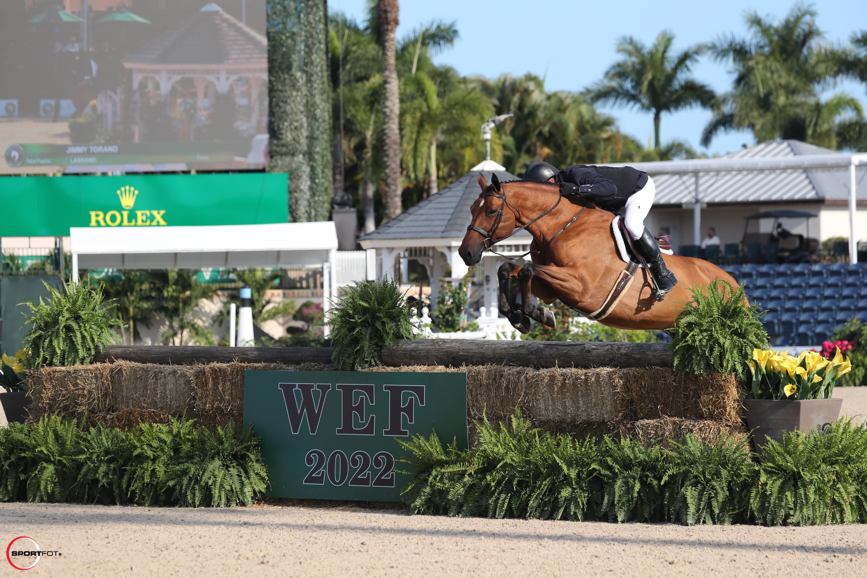 Laskano and Jimmy Torano Three-Peat in Hunter Derby Performances